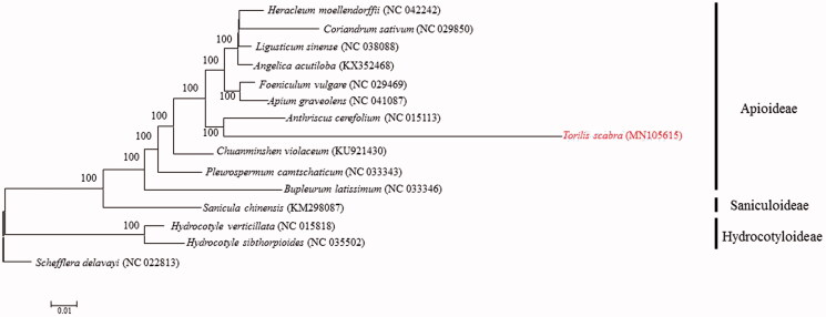 Figure 1.