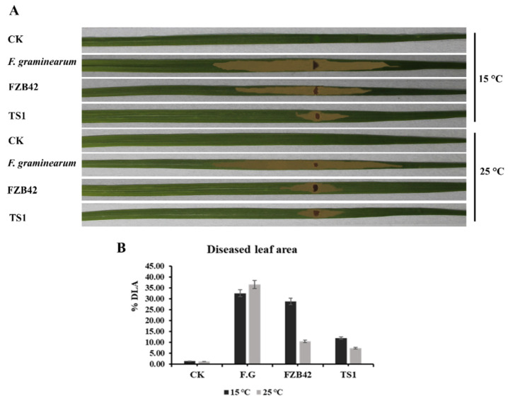 Figure 10