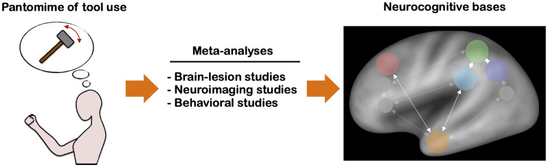 Graphical Abstract