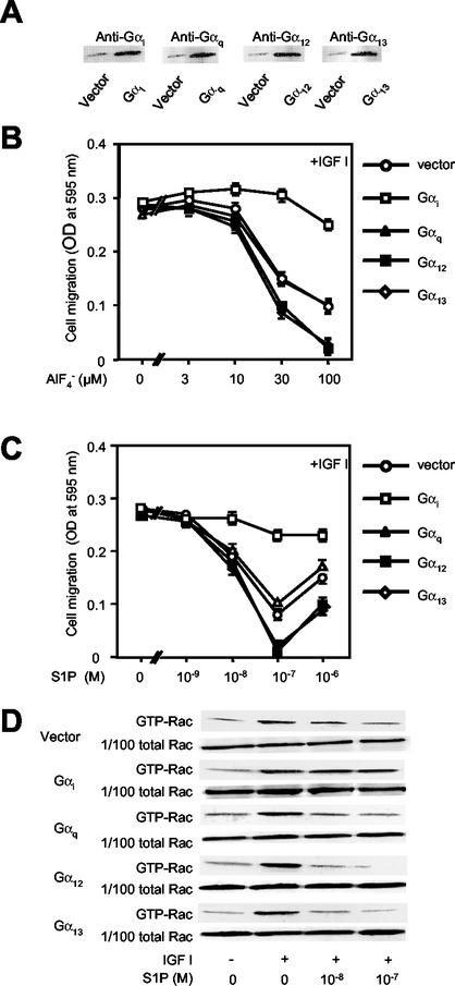 FIG. 8.