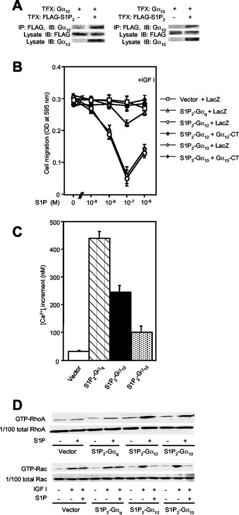 FIG. 5.