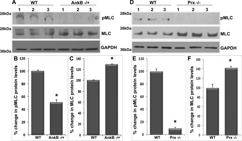 Fig. 9.