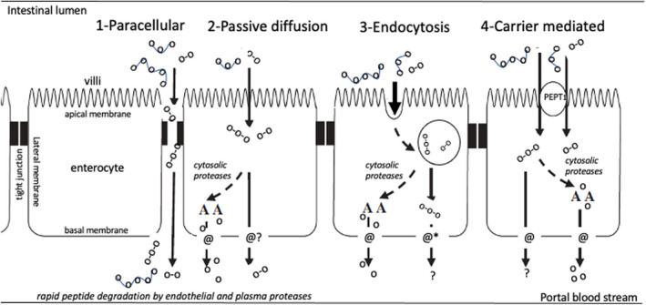 FIGURE 2