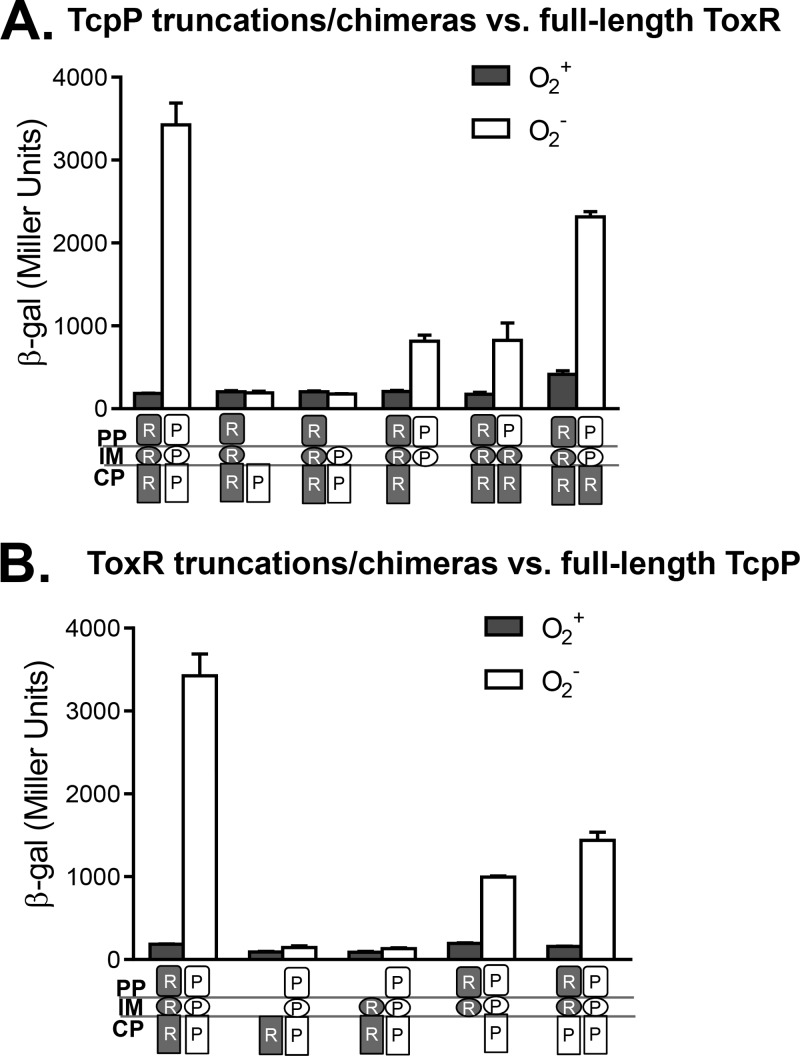 FIG 2