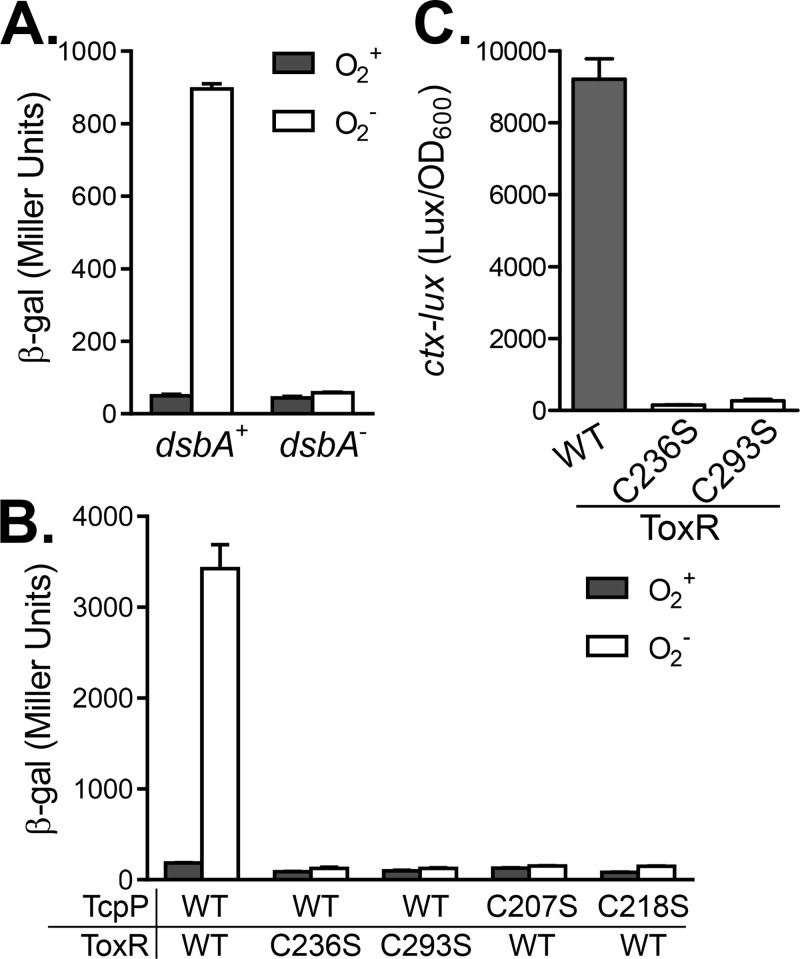 FIG 3