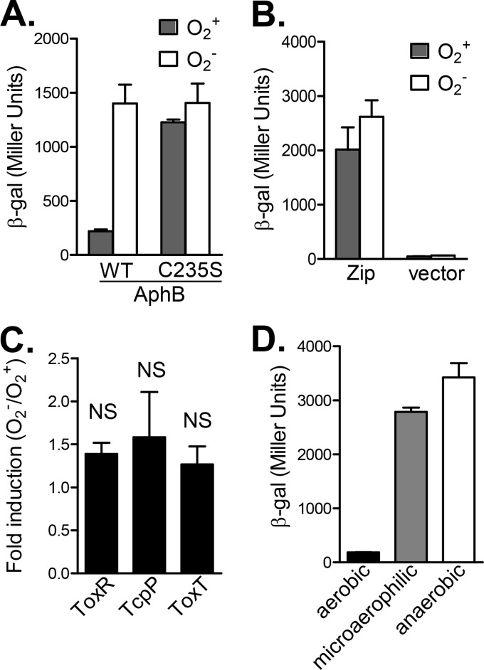 FIG 1