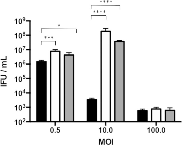 FIG 2