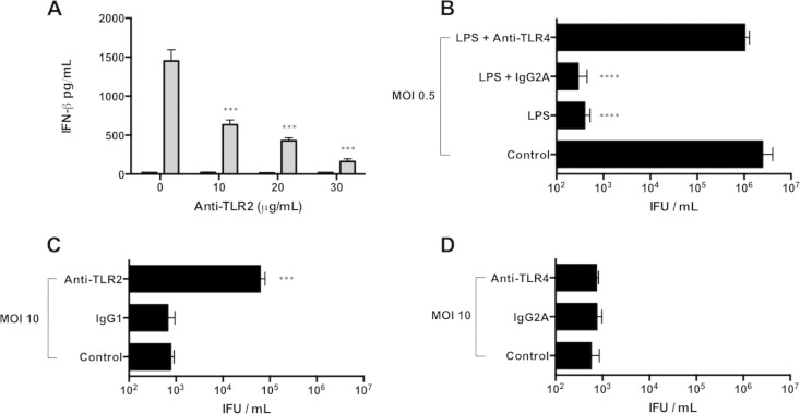 FIG 6