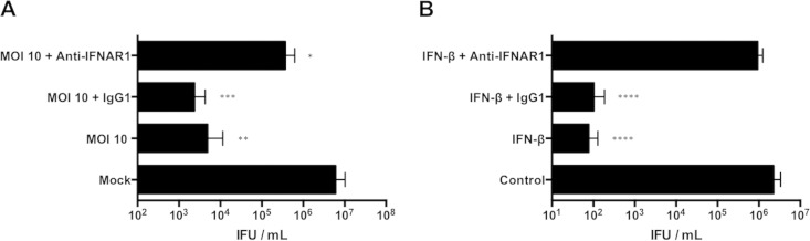 FIG 5