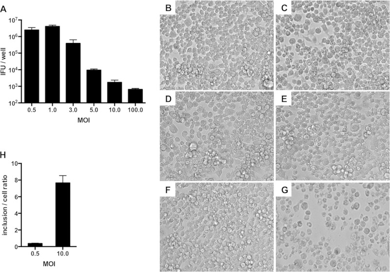 FIG 1