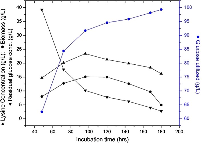 Fig. 2