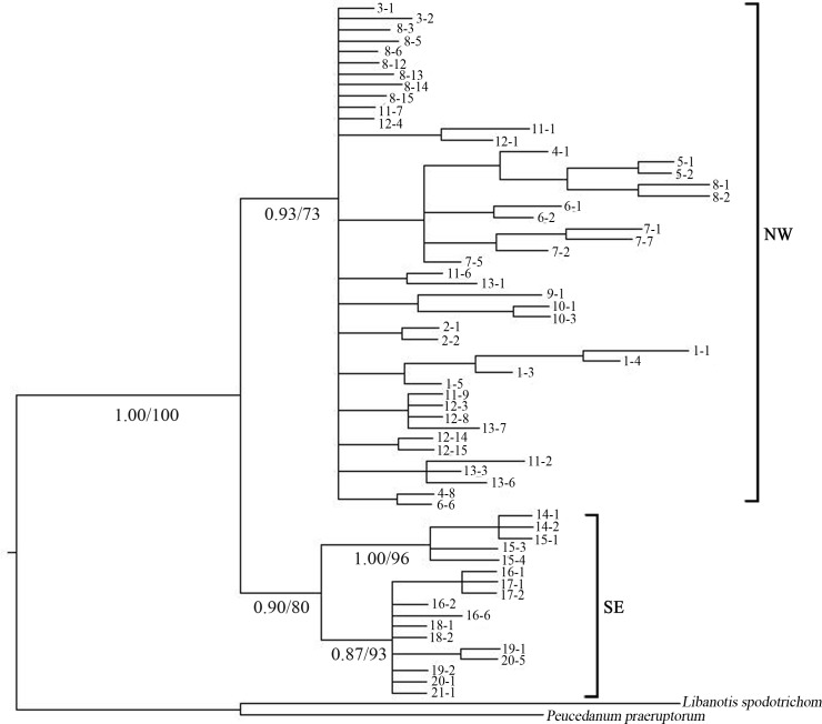 Fig 3