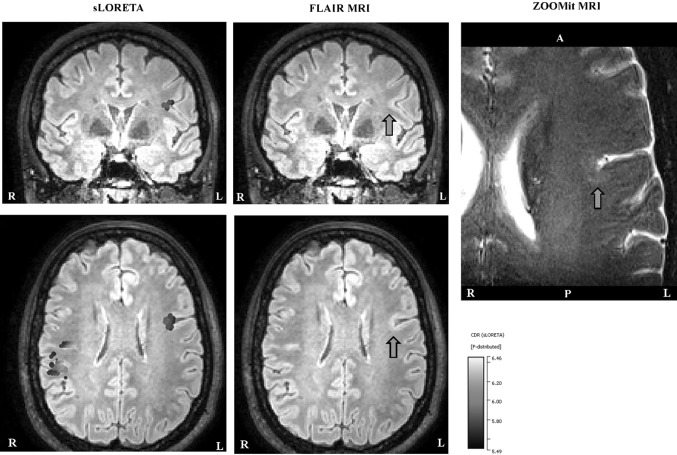 Fig. 7