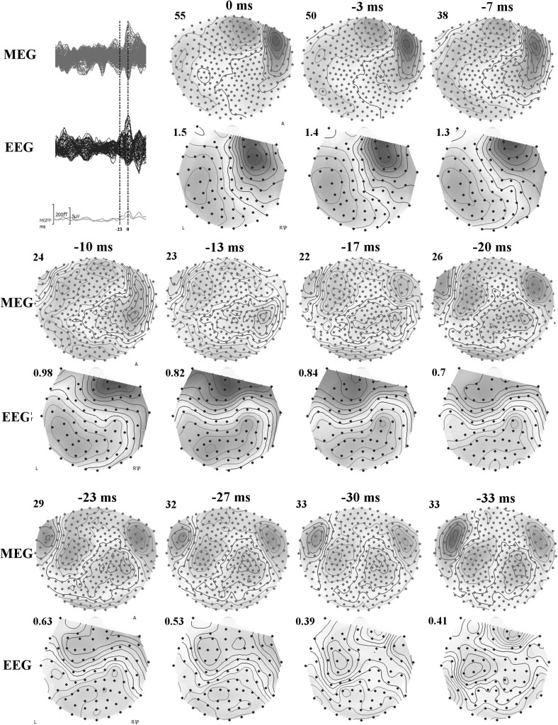 Fig. 5