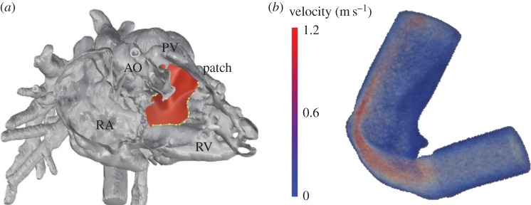 Figure 6.