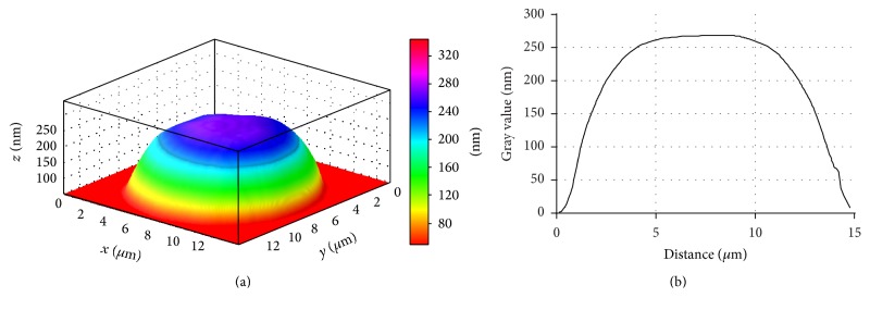 Figure 7