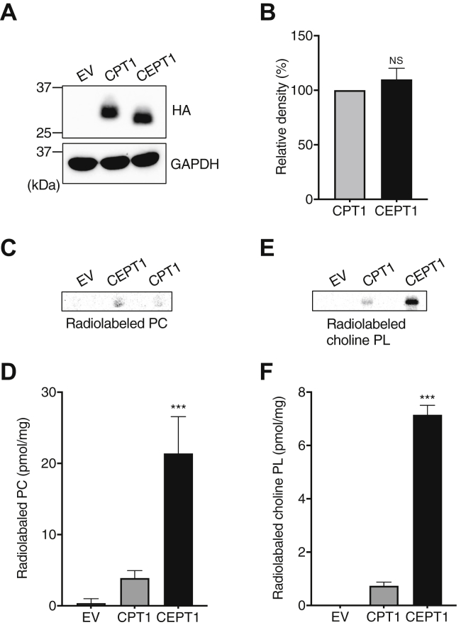 Fig. 4