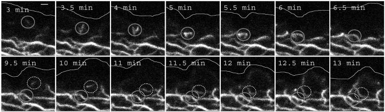 Figure 2.