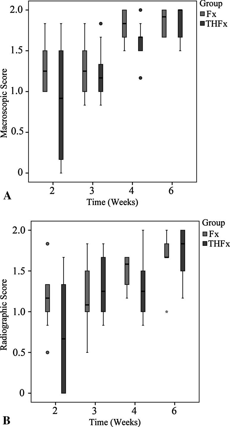 Fig. 4A–B