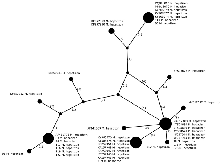 Figure 4.