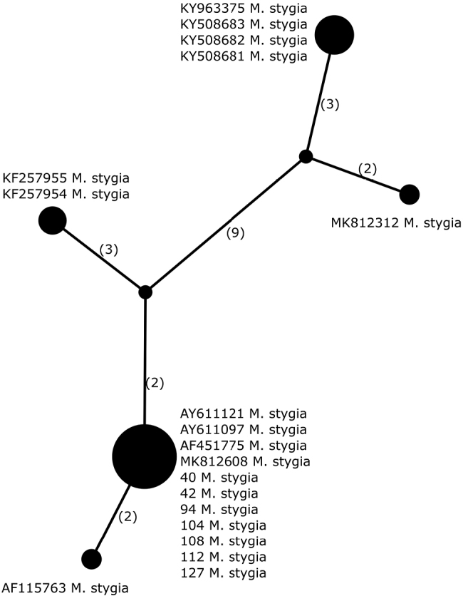 Figure 5.