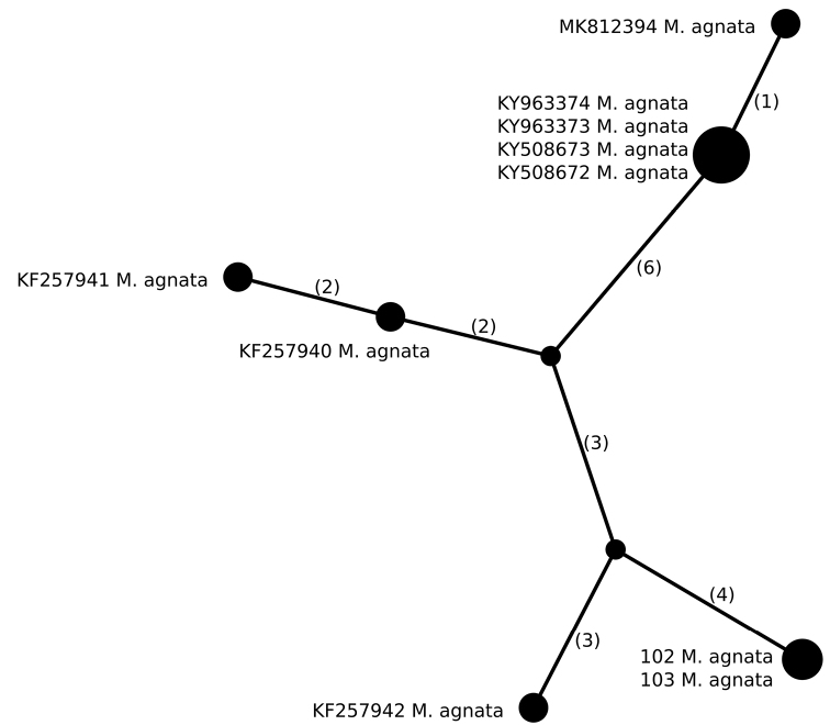 Figure 3.