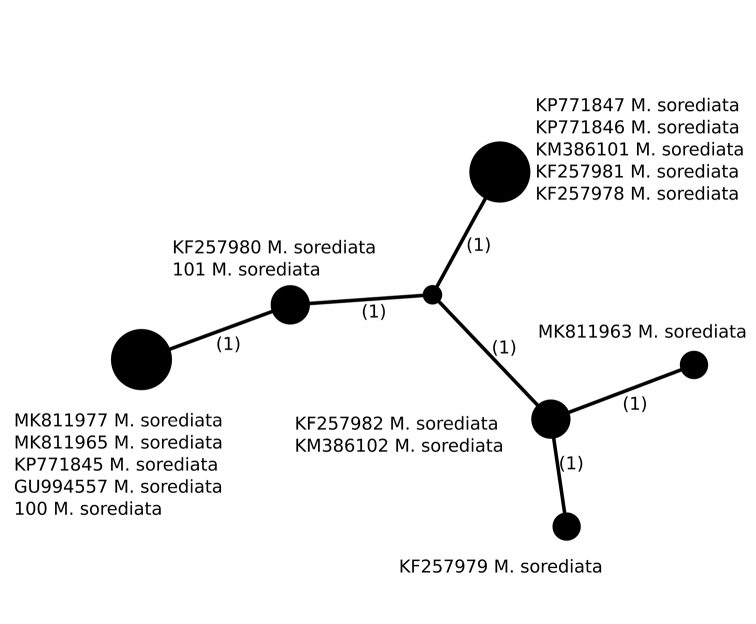 Figure 7.