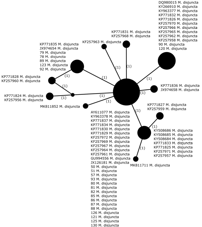 Figure 6.