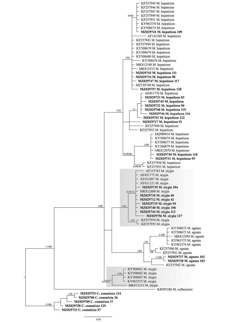 Figure 1.