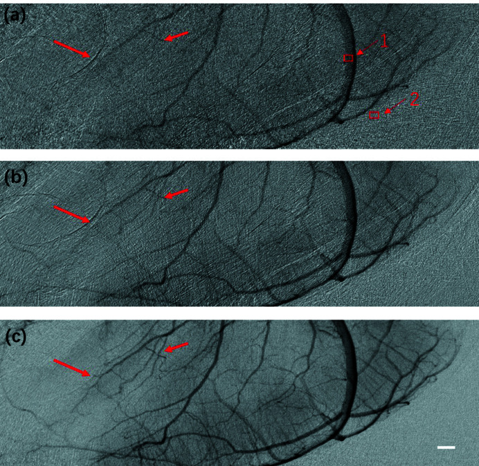 Figure 6