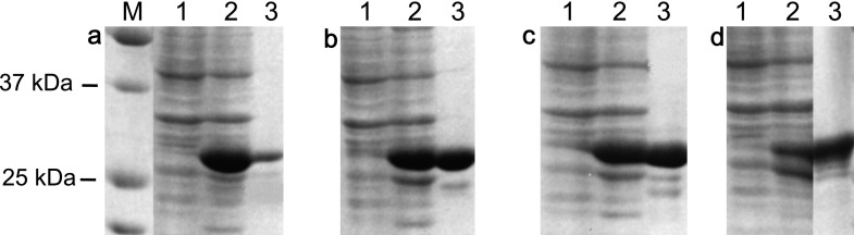 Fig. 1.