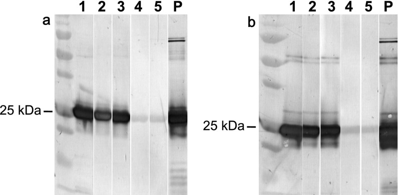 Fig. 2.