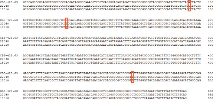 Figure 4