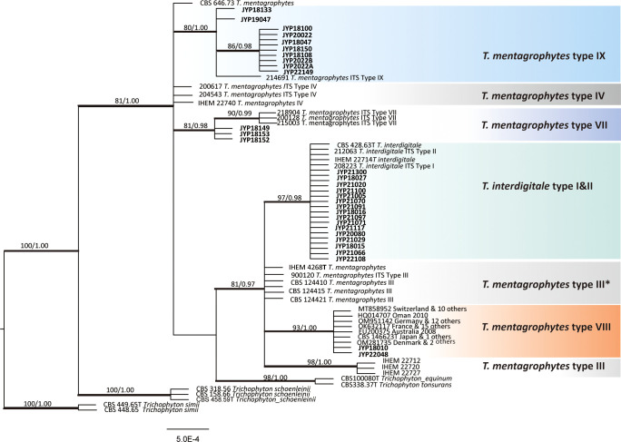 Figure 3