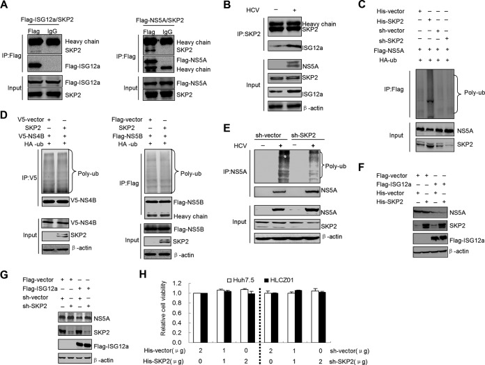 FIG 6