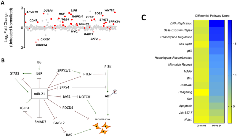 Figure 5: