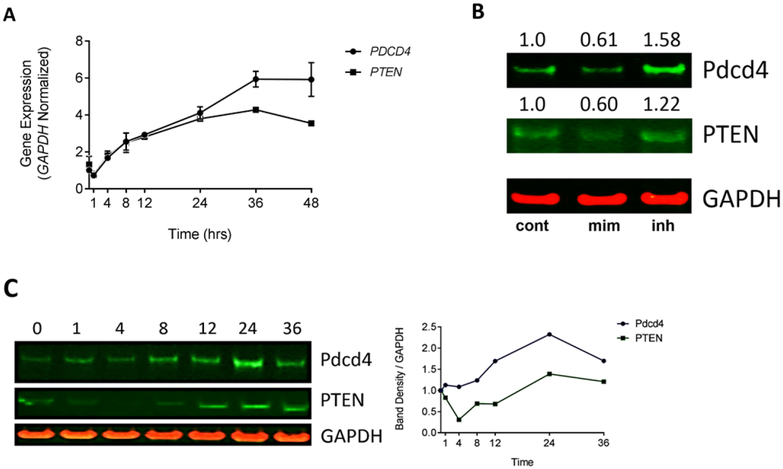 Figure 4: