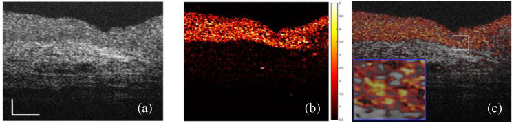 Fig. 4