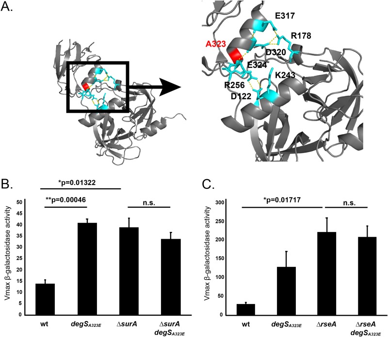 FIG 4