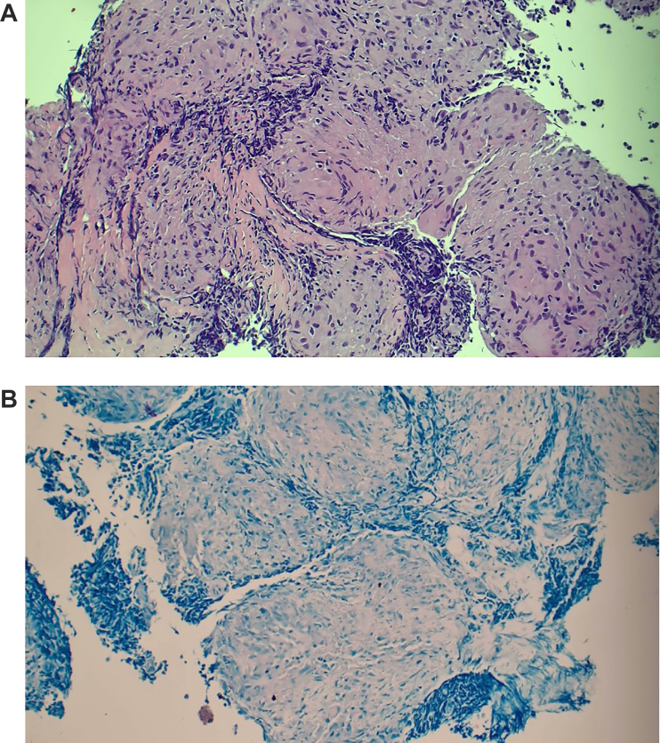 Figure 3