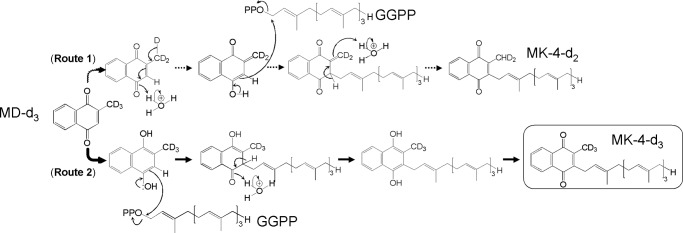 FIGURE 7.