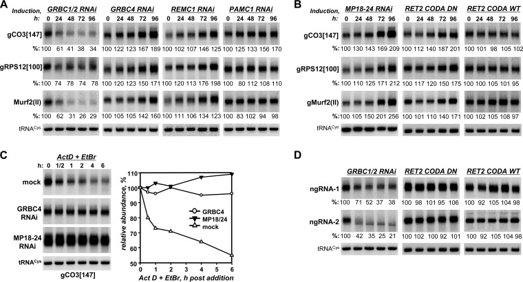 FIG 6