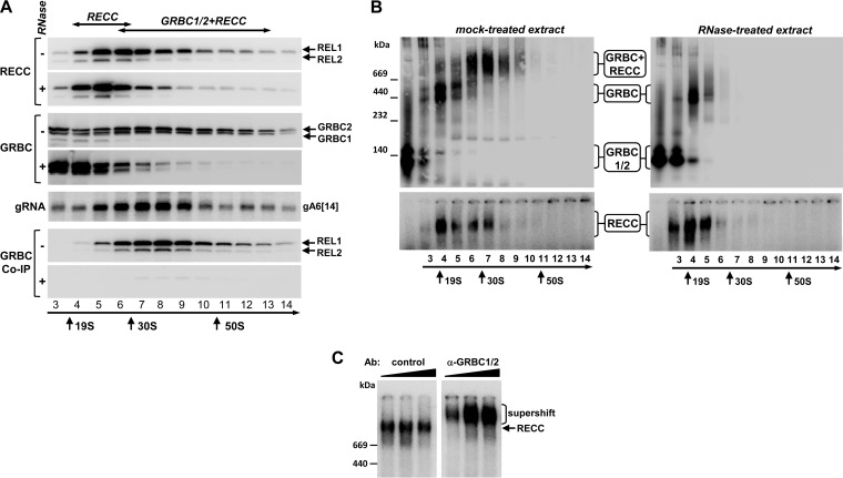 FIG 1