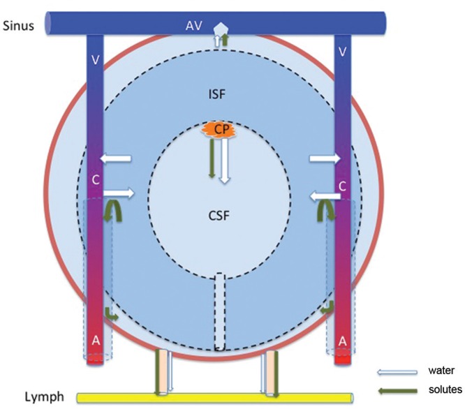 Fig. 2.