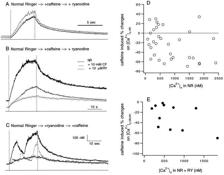 Fig. 12.