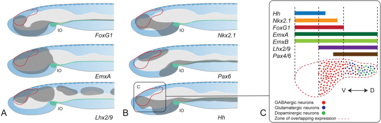 Fig. 10