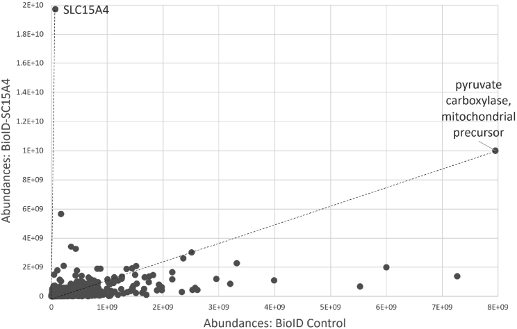 Figure 5