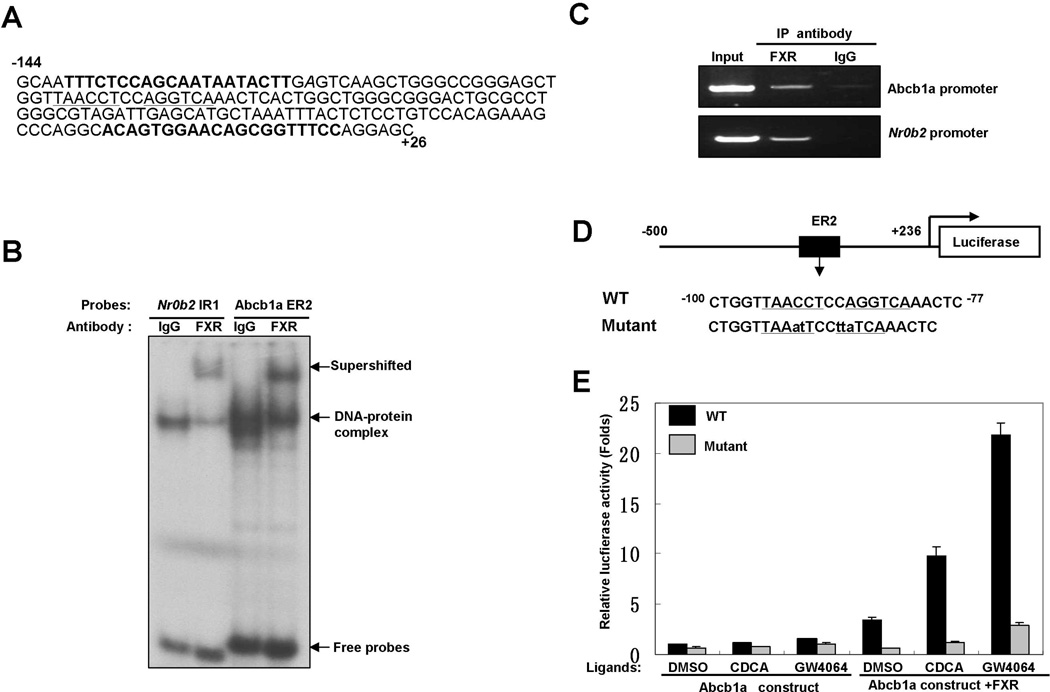 Fig.3