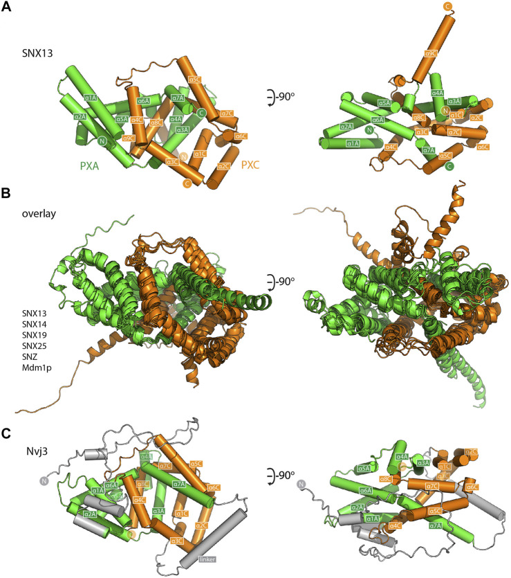 FIGURE 3