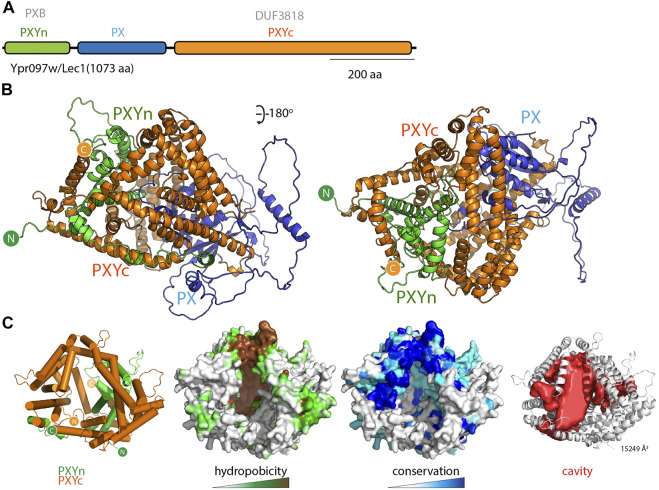 FIGURE 6